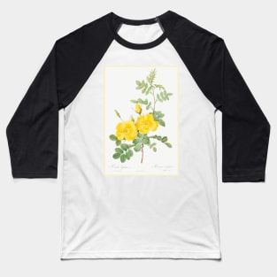 Sweetbriar Rose Baseball T-Shirt